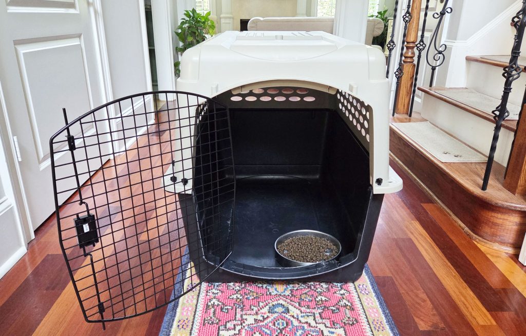 Set us with a plastic Vari Kennel and a dog food bown inside.