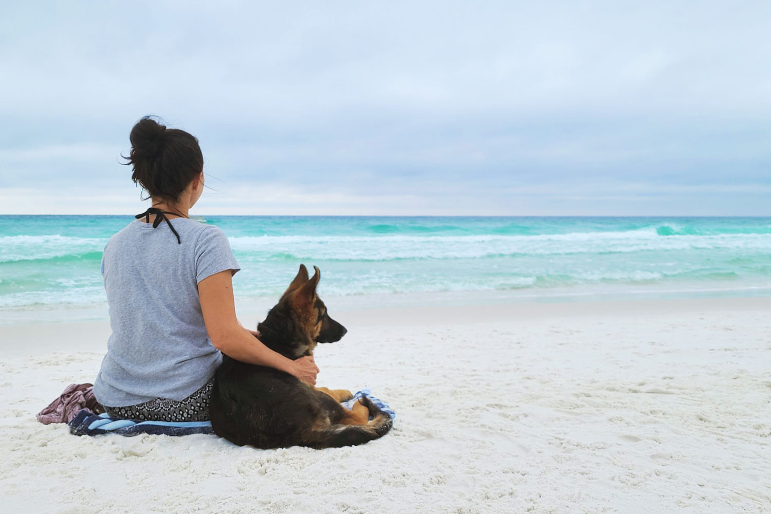 German Shepherd puppy sitting by the ocean beside the owner