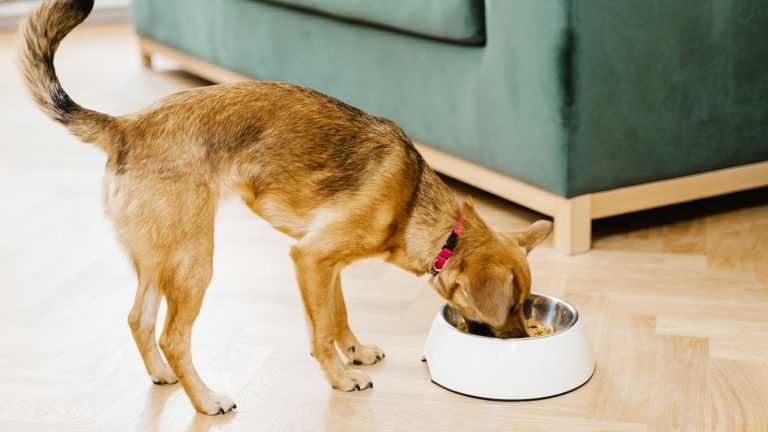 Let Them Eat in Peace: The Trust-Based Approach to Preventing Food Guarding